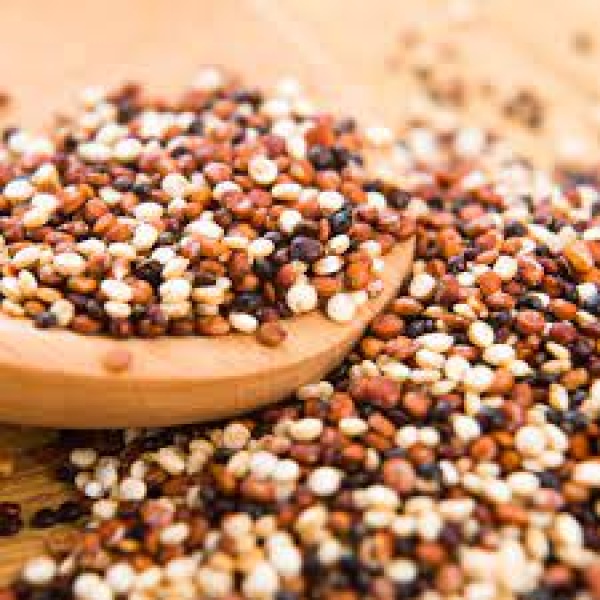 Semilla de Quinoa Tricolor -500gr-